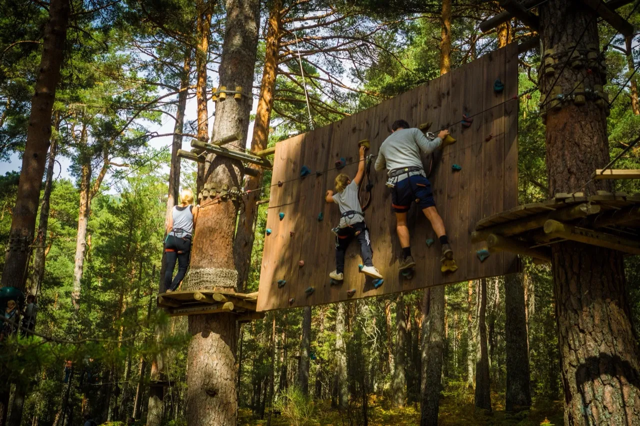 A child on a high ropes adventure course